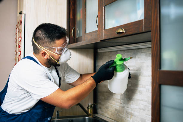 Reliable Chadbourn, NC Pest Control Solutions