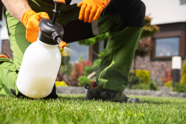 Best Exterminator Services  in Chadbourn, NC