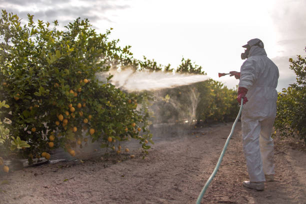 Pest Control for Restaurants in Chadbourn, NC